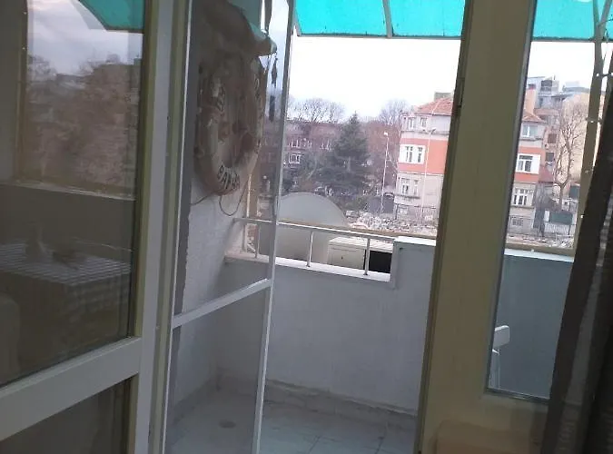 термите דירה